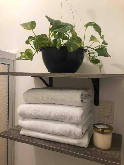 Comfortable And Private House 2 Bedrooms Wifi Parking Free Monterrei Exterior foto